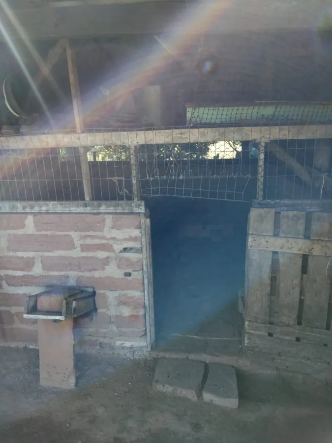 Imagem de Chácara completa com casa de madeira de lei e açude – pronta para morar!