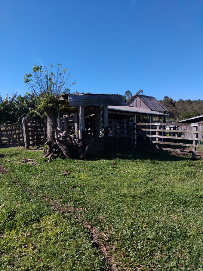 Imagem de Chácara completa com casa de madeira de lei e açude – pronta para morar!