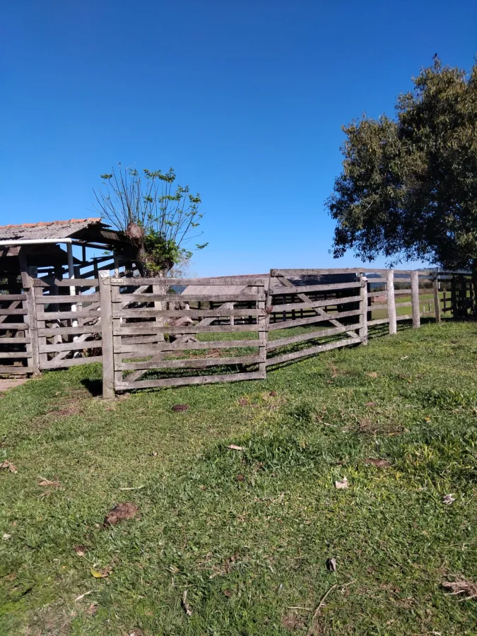 Imagem de Chácara completa com casa de madeira de lei e açude – pronta para morar!