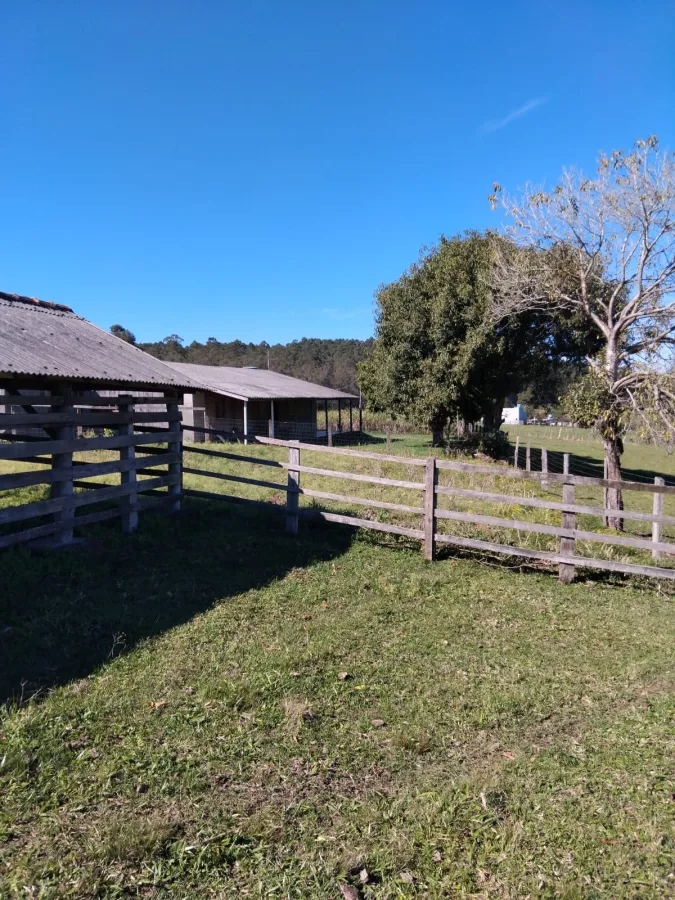 Imagem de Chácara completa com casa de madeira de lei e açude – pronta para morar!