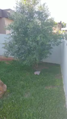Imagem de Casa em Parobe bairro Jardim Europa B