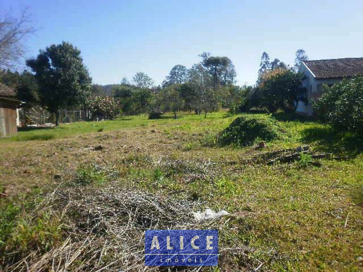 Imagem de Terreno em Tristao Monteiro bairro Santa Rosa