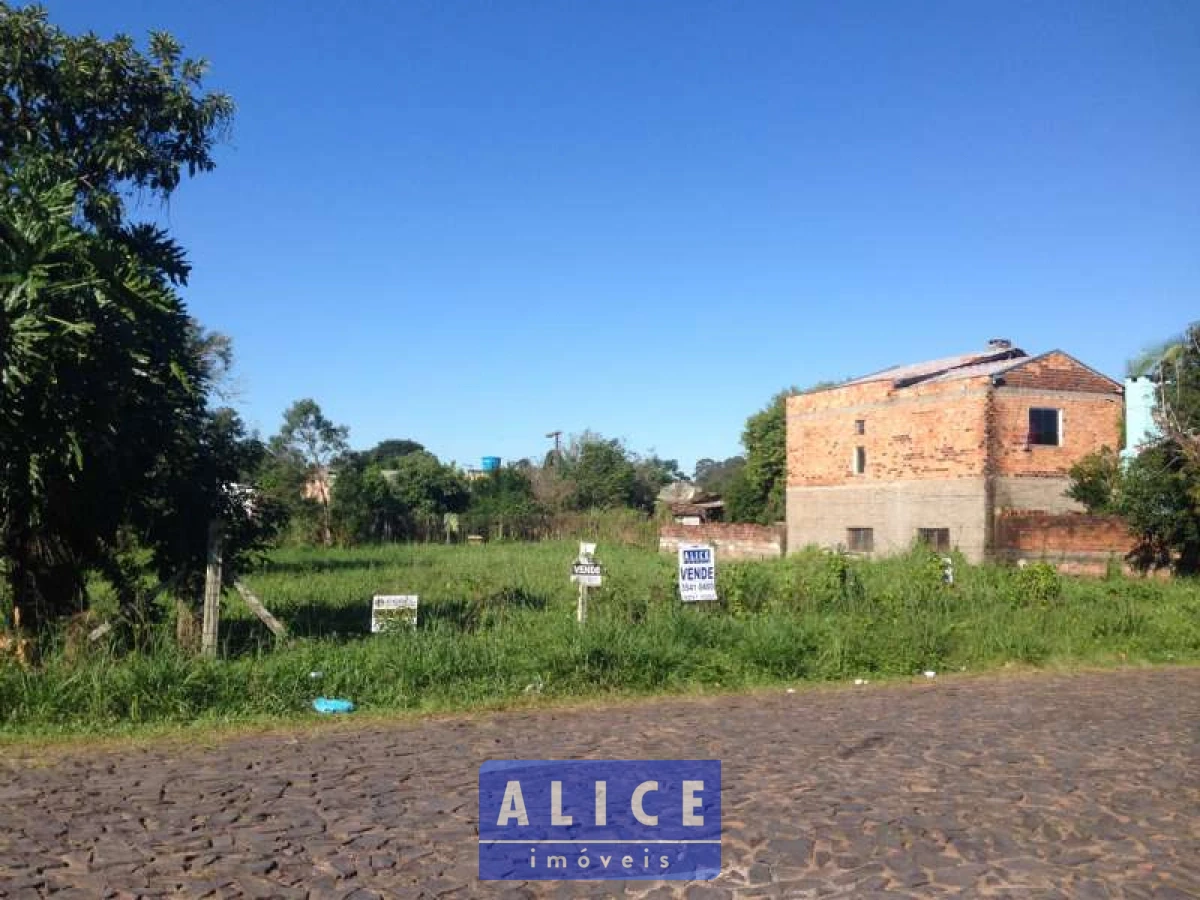 Imagem de Terreno em Mato Grosso bairro Santa Terezinha