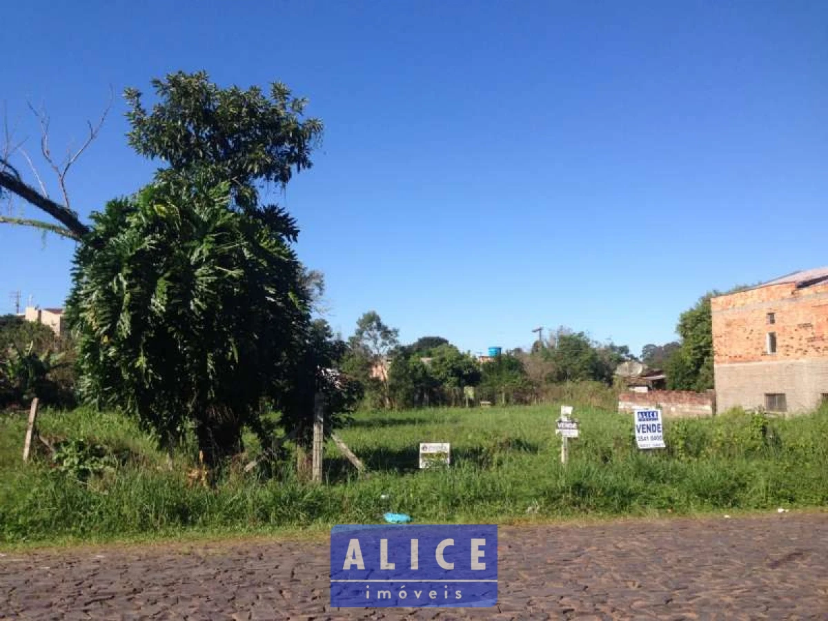 Imagem de Terreno em Mato Grosso bairro Santa Terezinha