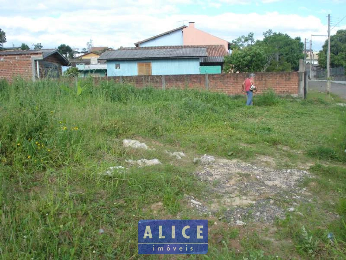 Imagem de Terreno em Guilherme Kassner bairro Cruzeiro Do Sul