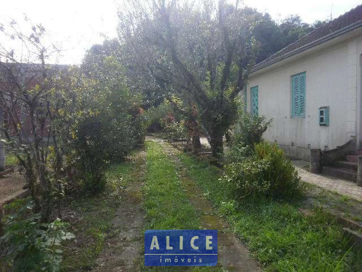 Imagem de Terreno em Tristão Monteiro bairro Nossa Senhora De Fátima