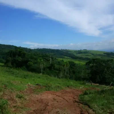 Imagem de Sítio em Rs 20 bairro Freguesia Do Mundo Novo