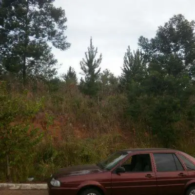 Imagem de Terreno em Pedro José Müller bairro Nossa Senhora De Fátima