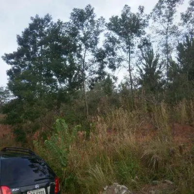 Imagem de Terreno em Pedro José Müller bairro Nossa Senhora De Fátima