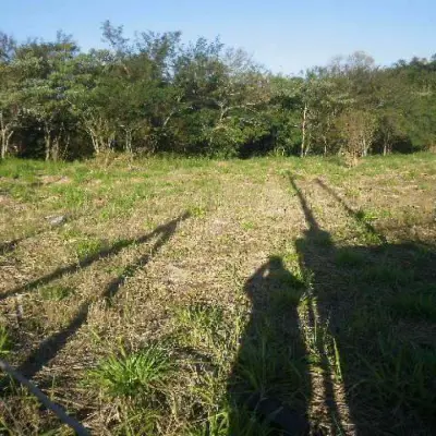 Imagem de Terreno em Pascoalina Faedrich bairro Santa Rosa