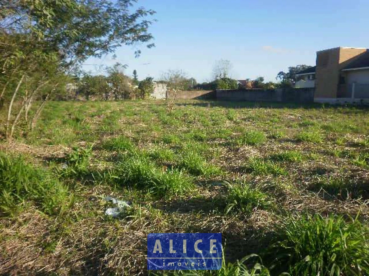 Imagem de Terreno em Pascoalina Faedrich bairro Santa Rosa