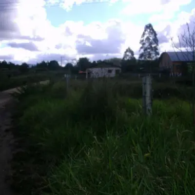 Imagem de Terreno em Rs 239 Km 52 Esq. Estrada Açoita Cavalo bairro Centro