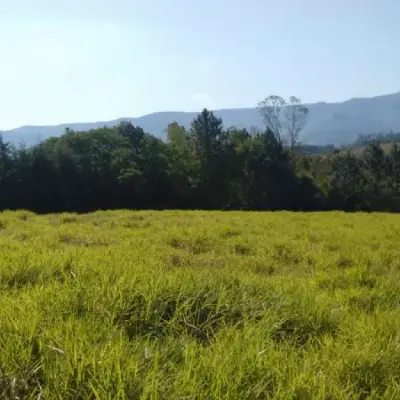 Imagem de Sítio em Valparaiso bairro Campo Vicente