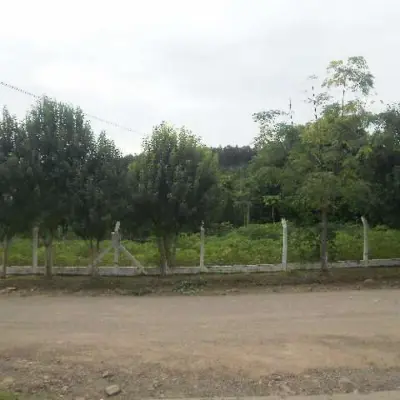 Imagem de Terreno em Arthur José Wallauer bairro Eldorado