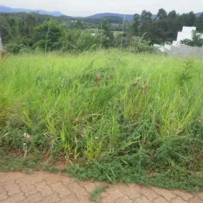 Imagem de Terreno em Olinda Muller bairro Nossa Senhora De Fátima