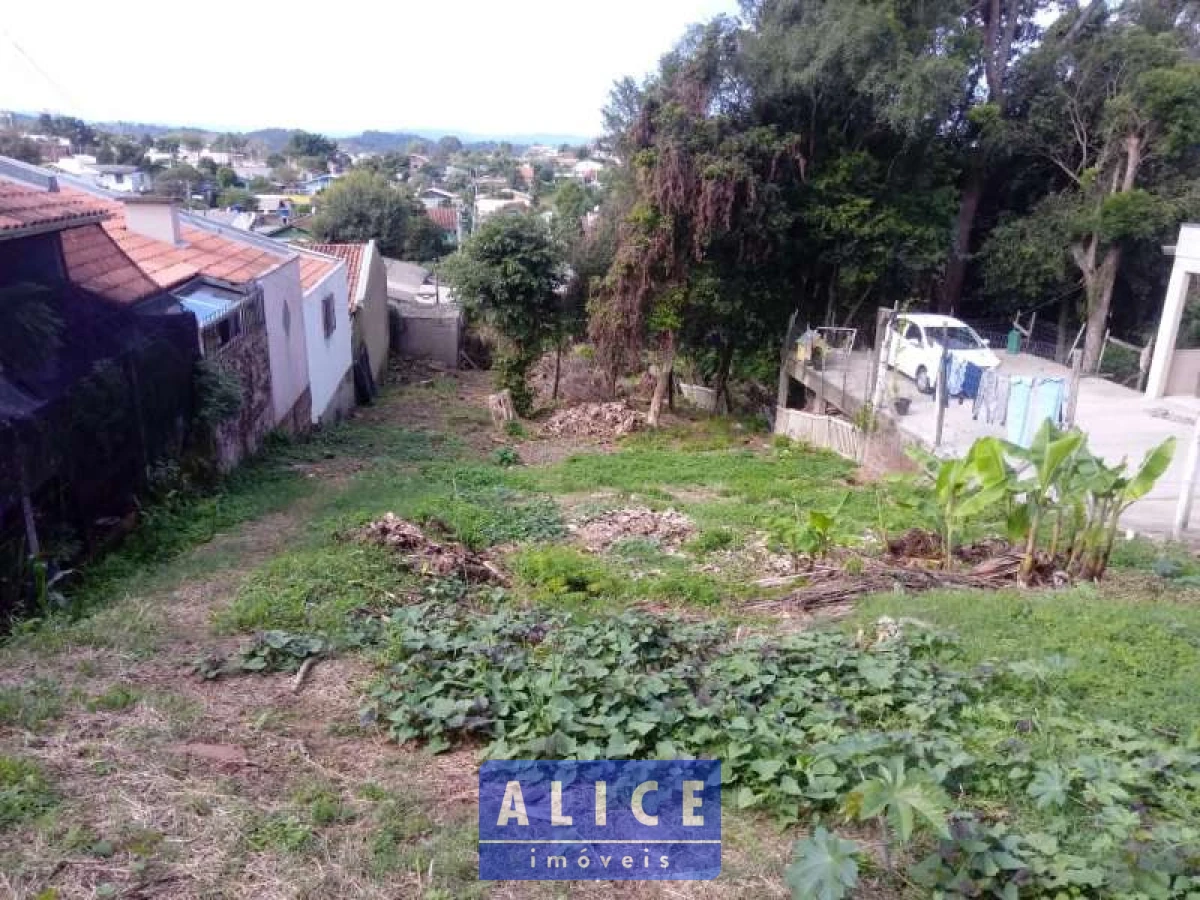 Imagem de Terreno em Rio De Janeiro bairro Santa Terezinha