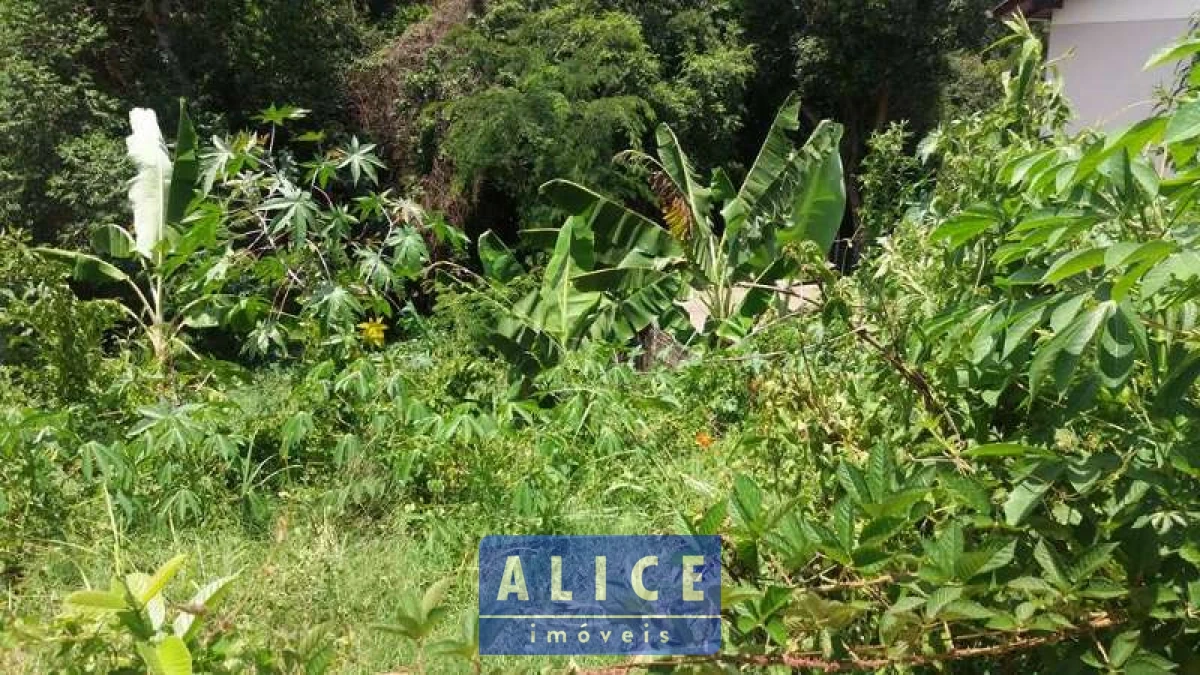 Imagem de Terreno em Rio De Janeiro bairro Santa Terezinha