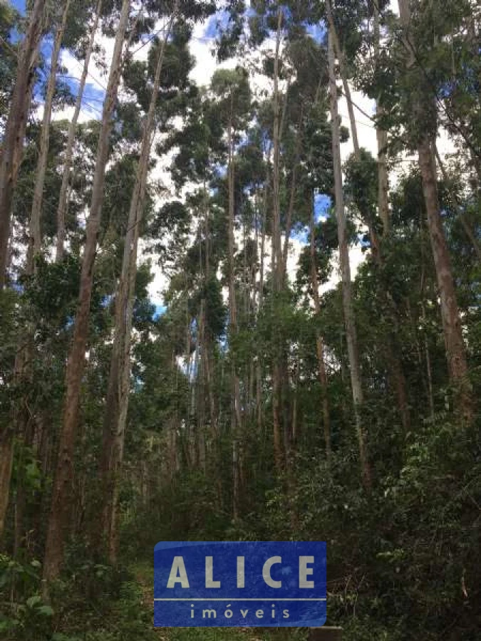 Imagem de Sítio em Morro Alto bairro Padilha