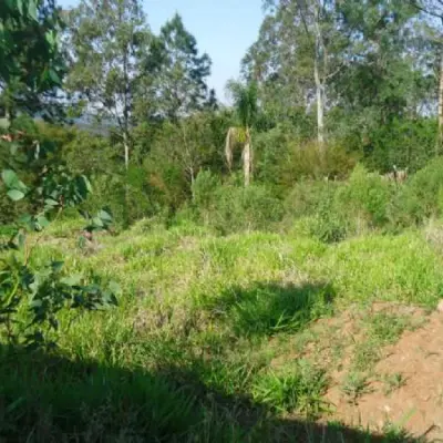 Imagem de Terreno em Joao Souza bairro Palmeiras