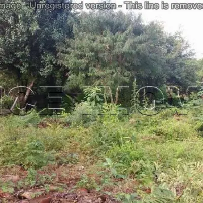 Imagem de Terreno em Ivo Borges bairro Centro