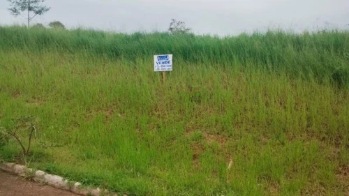 Imagem de Terreno em Taquara bairro Nossa Senhora De Fatima