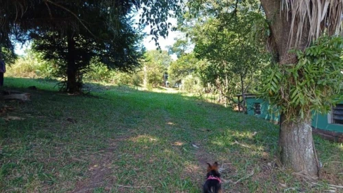 Imagem de Terreno em Taquara bairro Nossa Senhora De Fatima