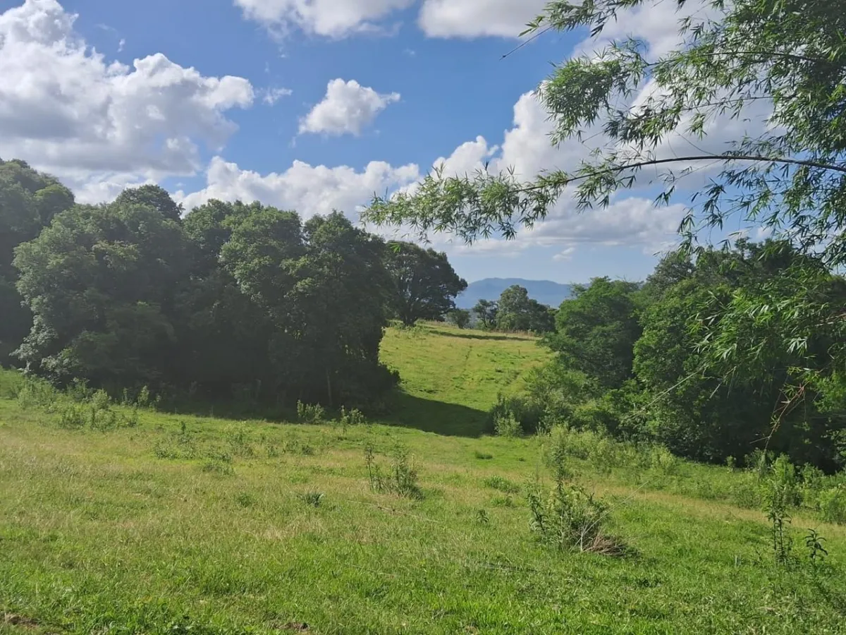 Sítio de 570.000 m² em Taquara: Perfeito para Investidores - Santa Cruz Da Concordia, Taquara [8297]