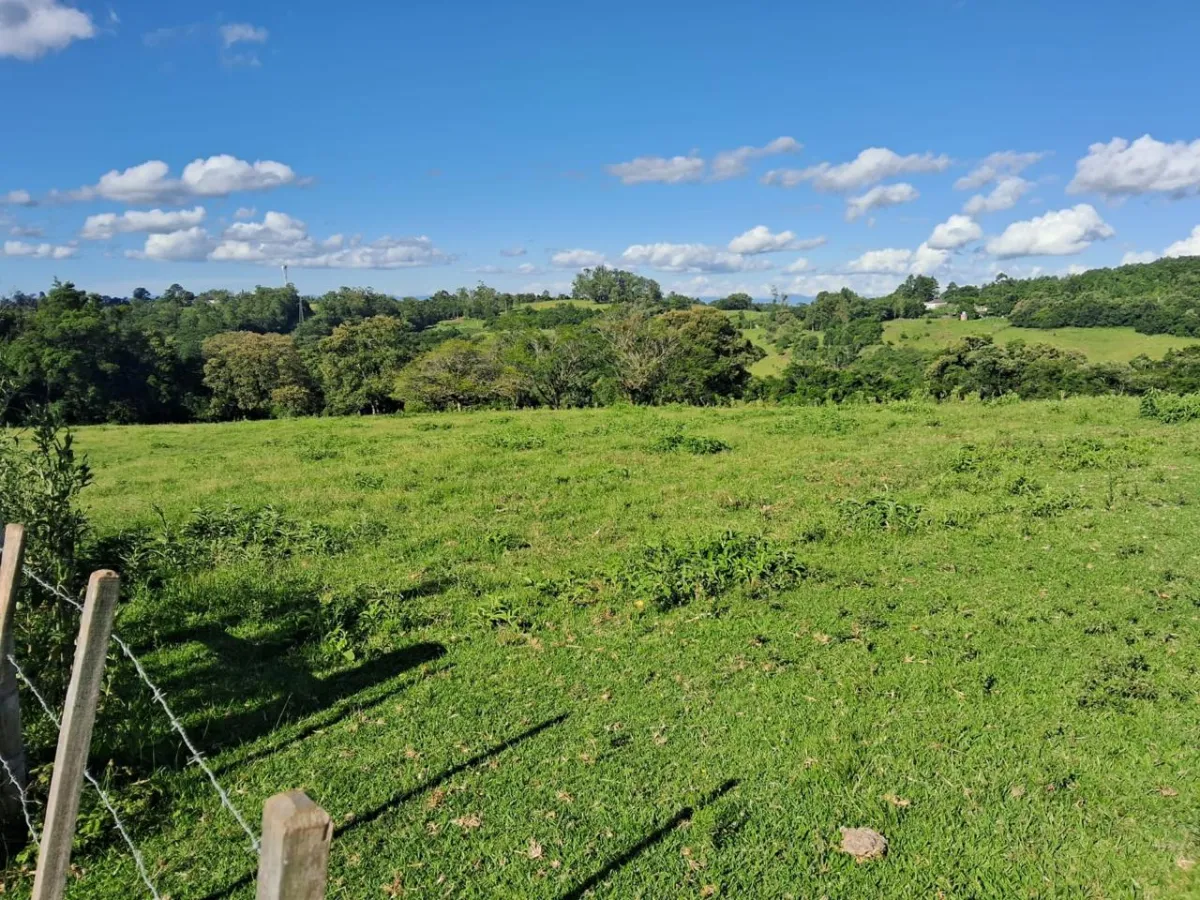 Sítio de 570.000 m² em Taquara: Perfeito para Investidores - Santa Cruz Da Concordia, Taquara [8297]