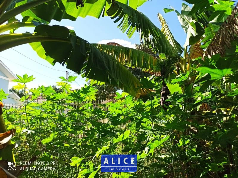 Casa em Taquara bairro Centro - Centro, Taquara [10083]