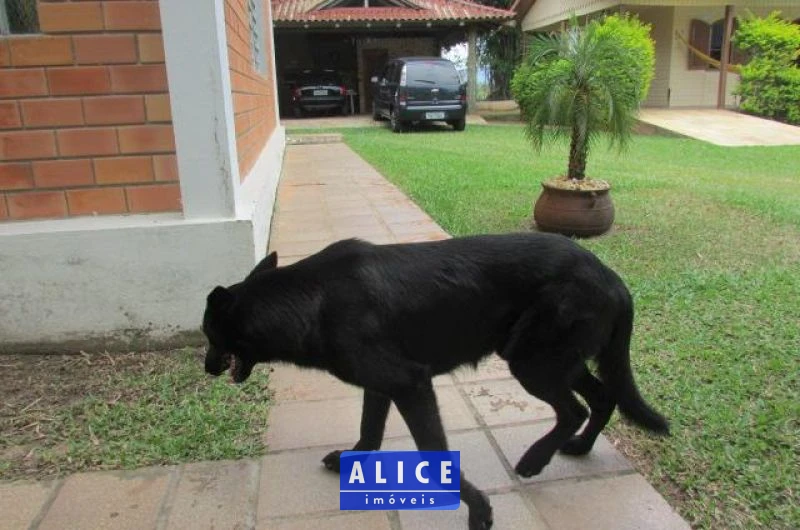 Terreno em Taquara bairro Nossa Senhora De Fatima - Nossa Senhora De Fatima, Taquara [10102]