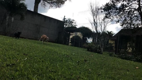 Imagem de Terreno em Taquara bairro Nossa Senhora De Fatima