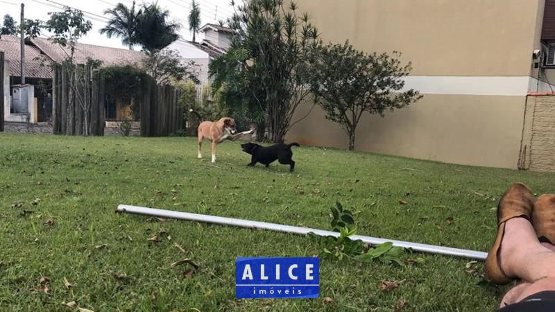 Terreno em Taquara bairro Nossa Senhora De Fatima - Nossa Senhora De Fatima, Taquara [10098]