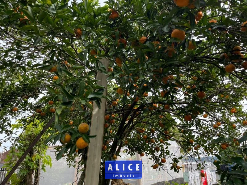 Casa em Taquara bairro Nossa Senhora De Fatima - Nossa Senhora De Fatima, Taquara [10091]