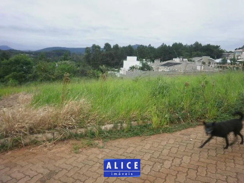 Imagem de Terreno em Taquara bairro Nossa Senhora De Fatima
