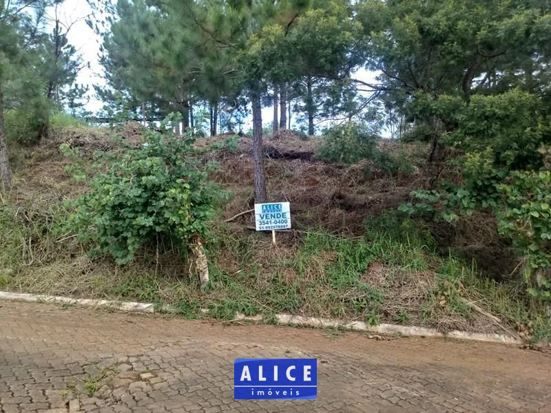 Terreno em Taquara bairro Nossa Senhora De Fatima - Nossa Senhora De Fatima, Taquara [10123]