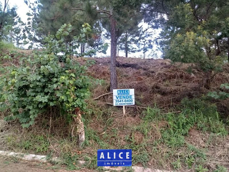 Terreno em Taquara bairro Nossa Senhora De Fatima - Nossa Senhora De Fatima, Taquara [10123]