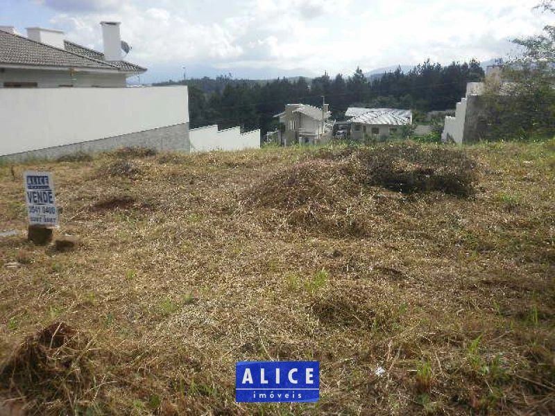 Terreno em Taquara bairro Nossa Senhora De Fatima - Nossa Senhora De Fatima, Taquara [10119]