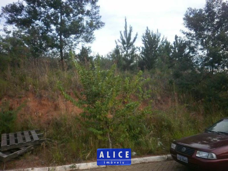 Terreno em Taquara bairro Nossa Senhora De Fatima - Nossa Senhora De Fatima, Taquara [10118]