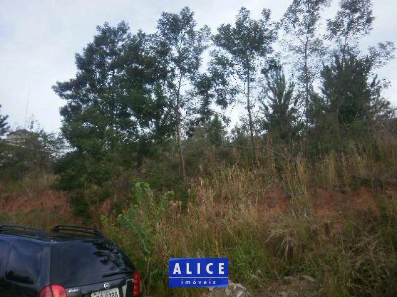 Terreno em Taquara bairro Nossa Senhora De Fatima - Nossa Senhora De Fatima, Taquara [10118]