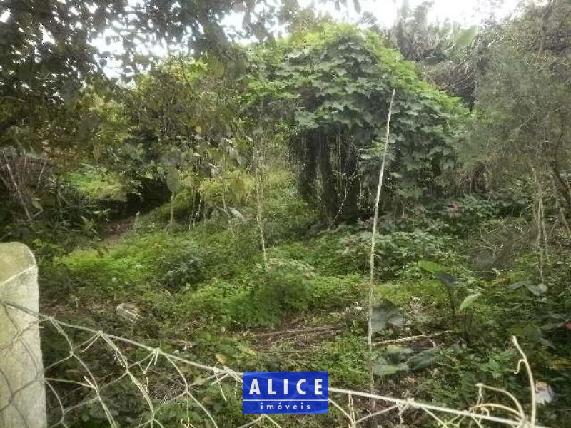 Terreno em Taquara bairro Nossa Senhora De Fatima - Nossa Senhora De Fatima, Taquara [10113]
