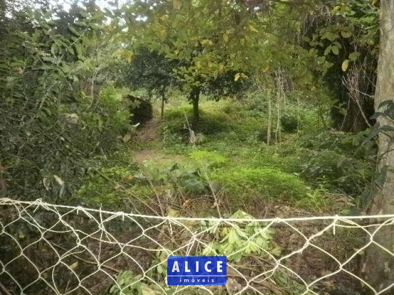 Terreno em Taquara bairro Nossa Senhora De Fatima - Nossa Senhora De Fatima, Taquara [10113]