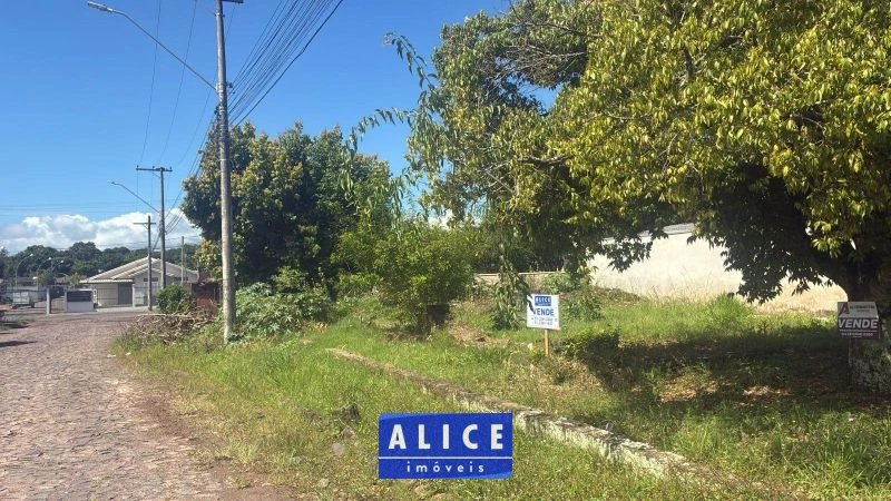 Imagem de Terreno em Taquara bairro Santa Rosa