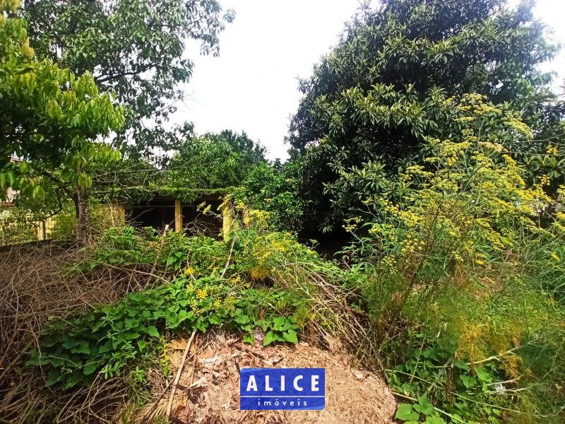 Casa em Taquara bairro Centro - Centro, Taquara [10241]