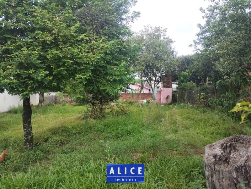 Imagem de Terreno em Taquara bairro Jardim Do Prado