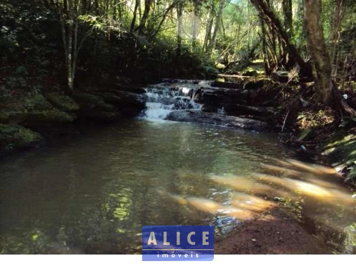 Imagem de Sítio em Beco Agua Santa bairro Fazenda Fialho