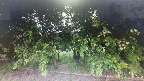 Imagem de Terreno em Taquara bairro Santa Teresinha
