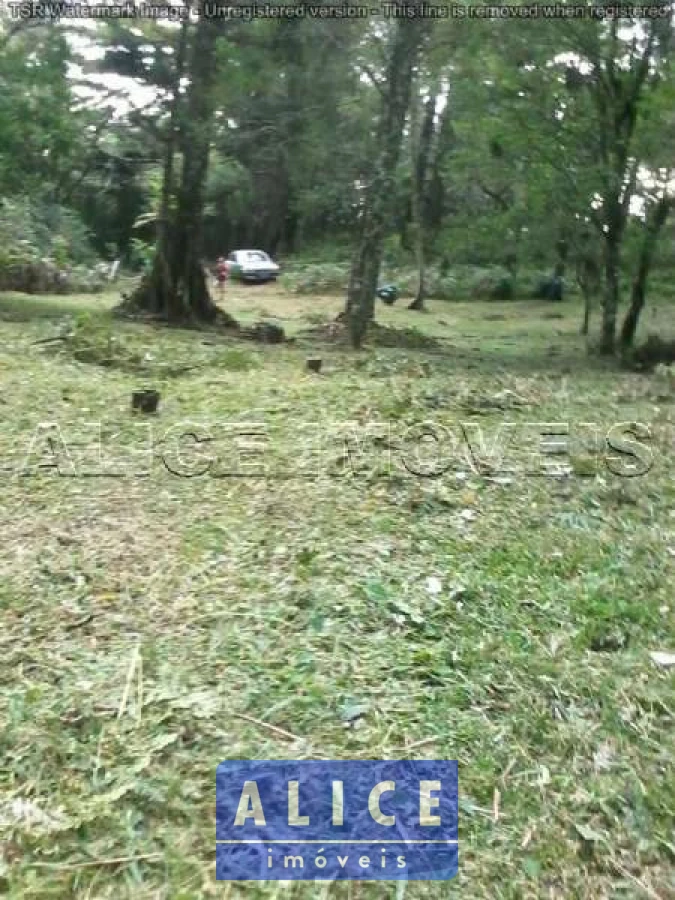 Imagem de Terreno em Estrada Serra Velha bairro São Bernardo