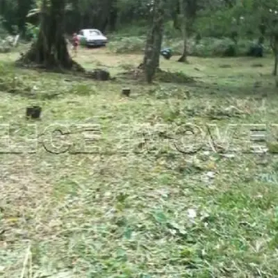 Imagem de Terreno em Estrada Serra Velha bairro São Bernardo