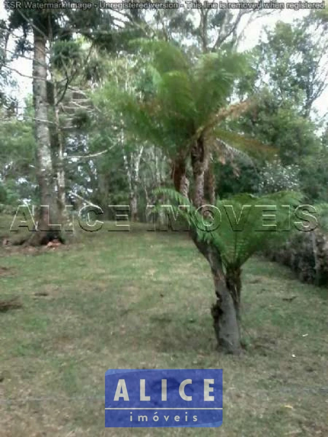 Imagem de Terreno em Estrada Serra Velha bairro São Bernardo