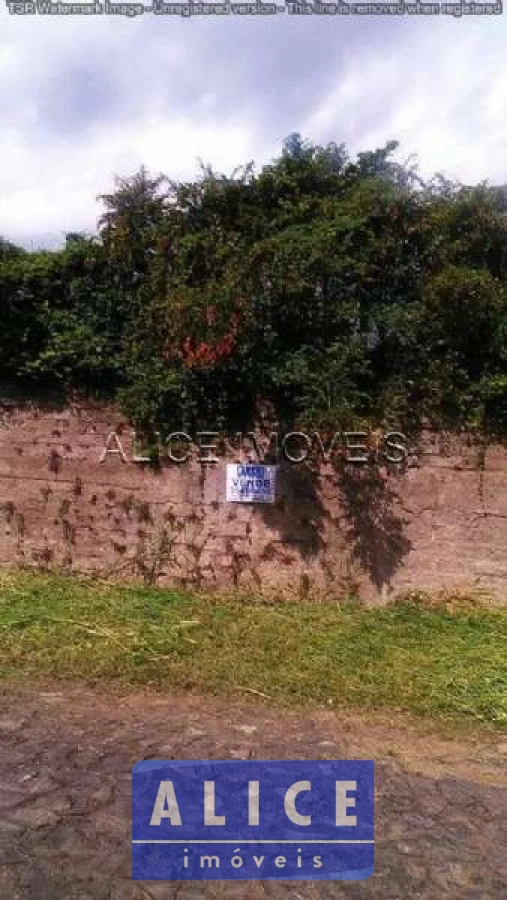 Imagem de Terreno em Carolina Brodbeck bairro Panorâmico